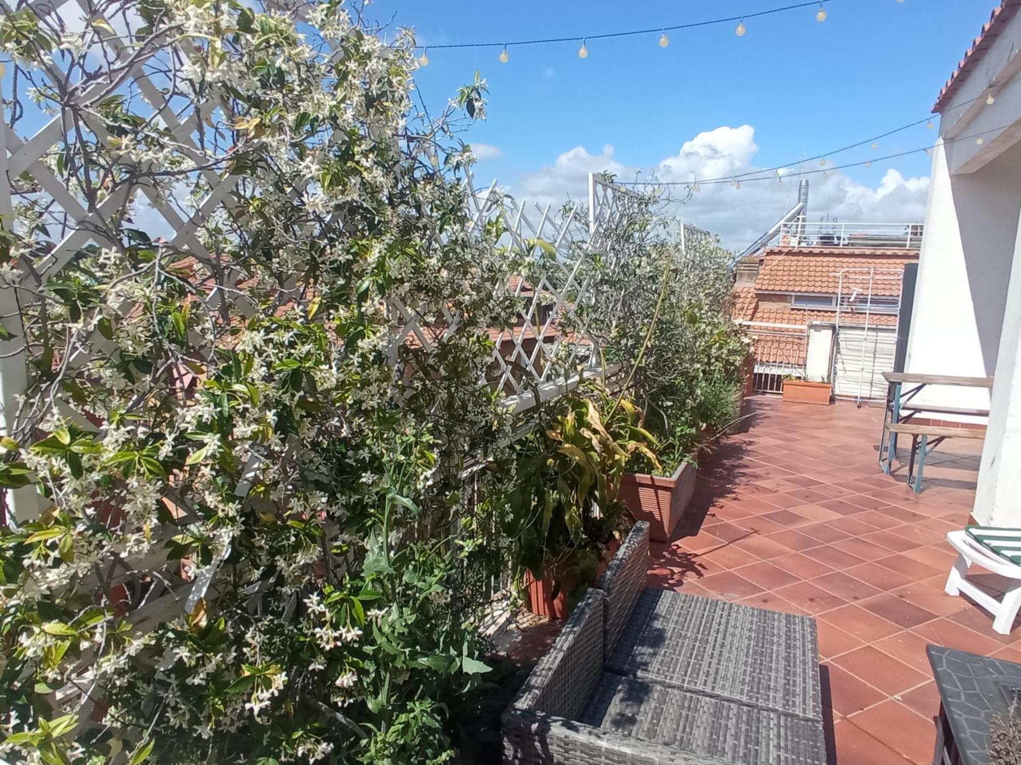 Rooftop Appia Antica,Silenzioso Riservato Two Bedrooms Two Bathrooms Róma Kültér fotó